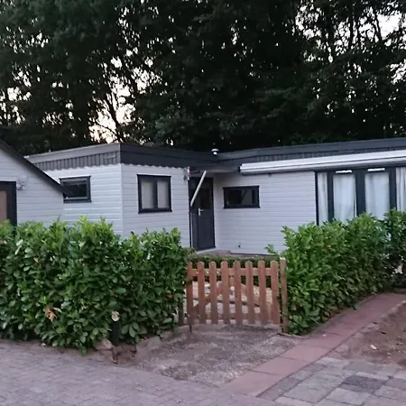 בקתה Op De Veluwe # Beuk