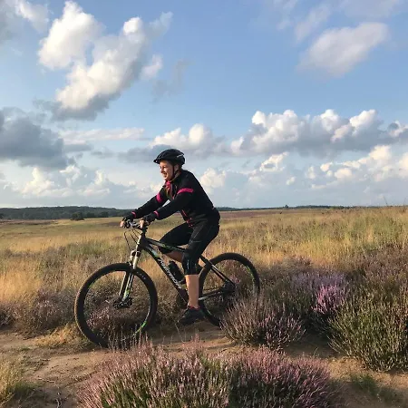 בקתה Op De Veluwe # Beuk פוטן