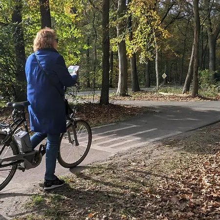Chalet Op De Veluwe # Beuk *