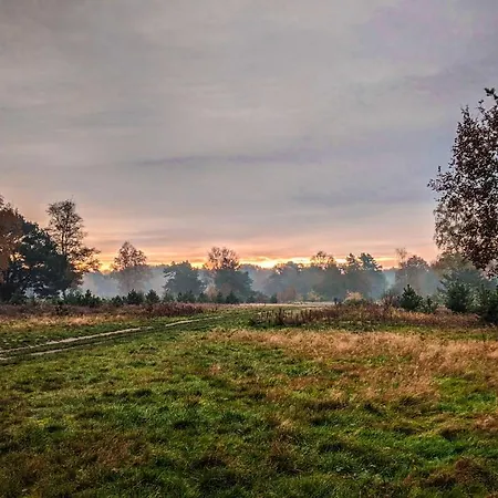 Op De Veluwe # Beuk Chalet Putten