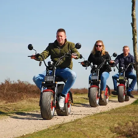 Op De Veluwe # Beuk * Putten