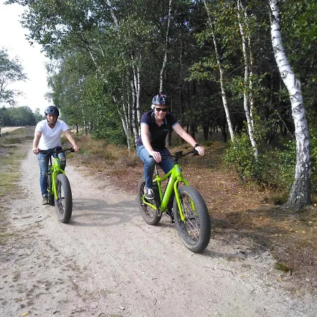 Op De Veluwe # Beuk פוטן