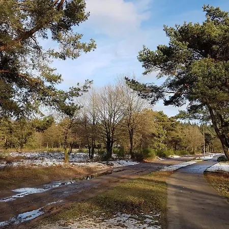 Chalet Op De Veluwe # Beuk