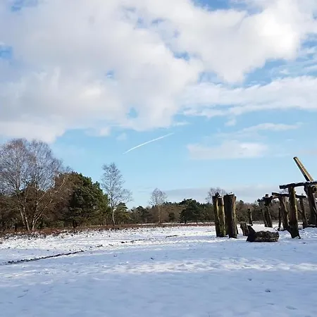 Chalet Op De Veluwe # Beuk