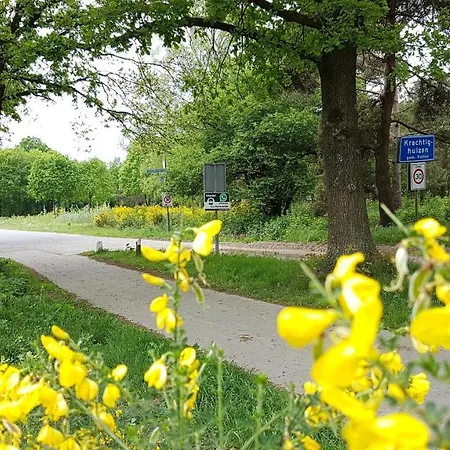 Op De Veluwe # Beuk Chalet