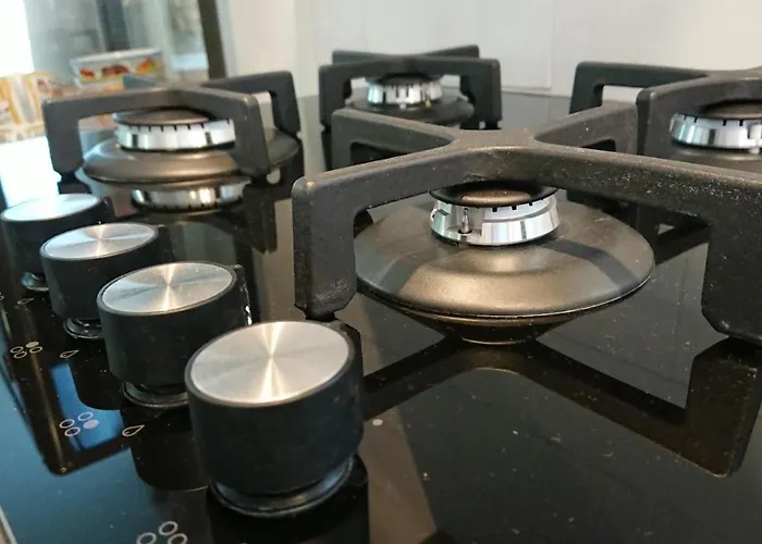 Op De Veluwe # Beuk Alpstuga *