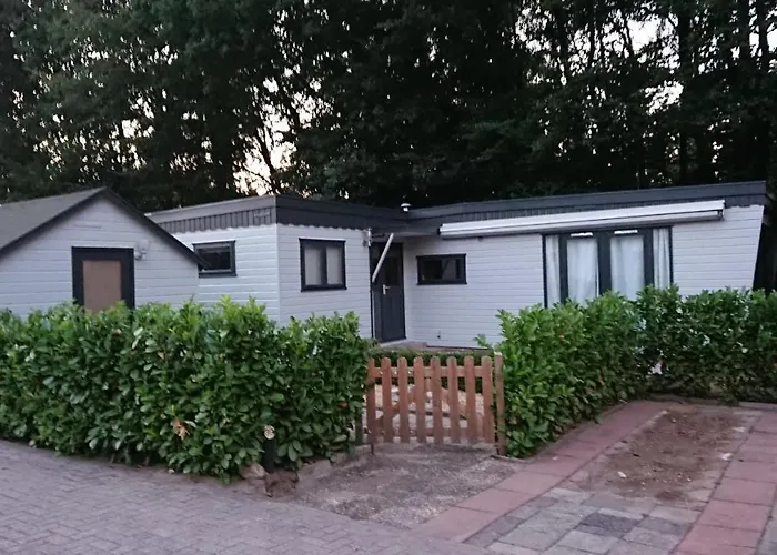 בקתה Op De Veluwe # Beuk