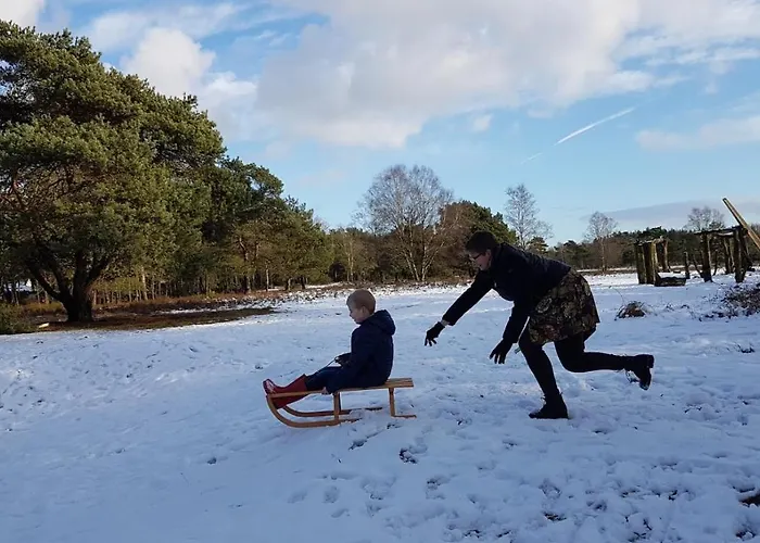Alpstuga Op De Veluwe # Beuk *