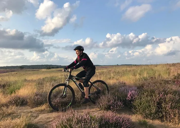 בקתה Op De Veluwe # Beuk פוטן