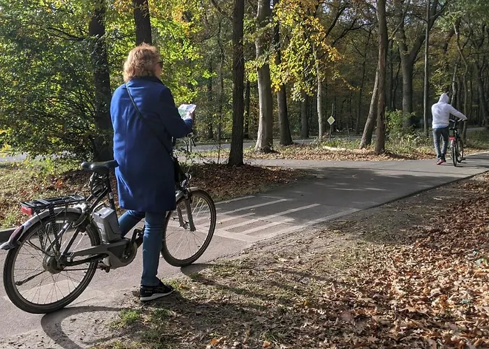 בקתה Op De Veluwe # Beuk *