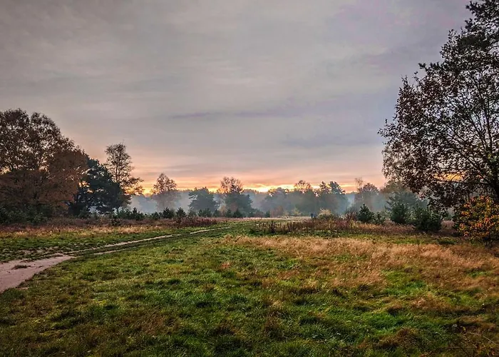 Op De Veluwe # Beuk Alpstuga Putten