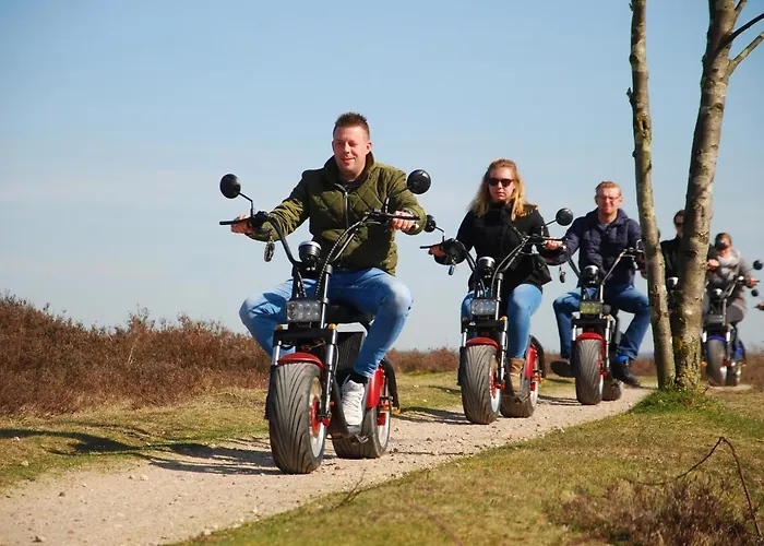 Op De Veluwe # Beuk * פוטן