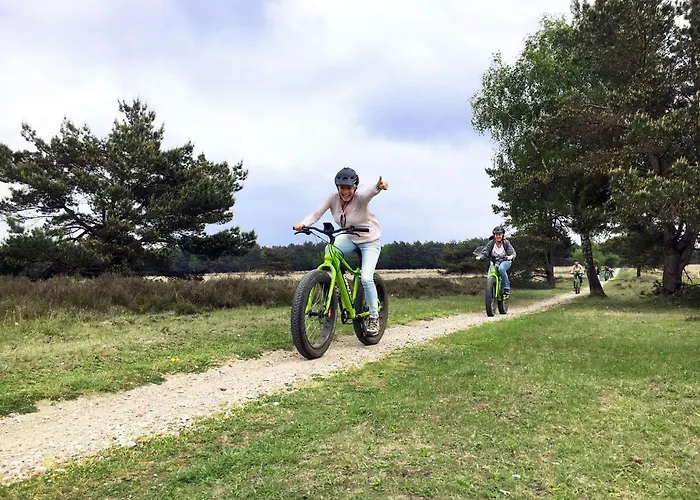 Op De Veluwe # Beuk *