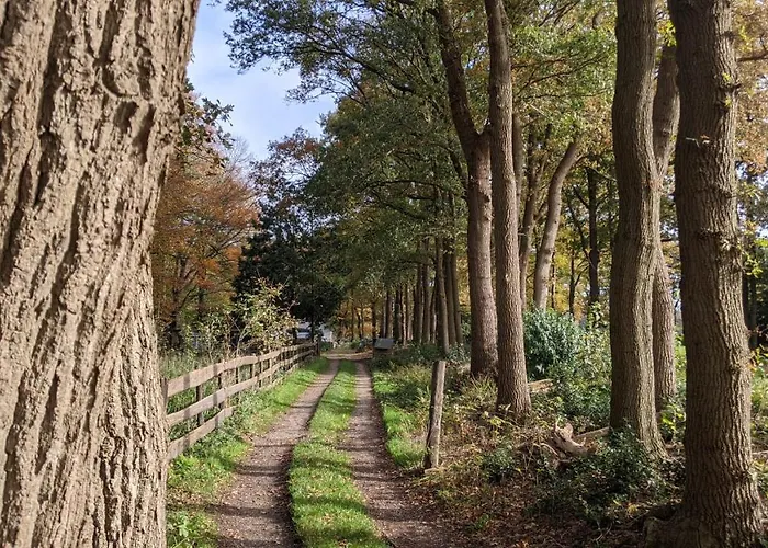 Alpstuga Op De Veluwe # Beuk