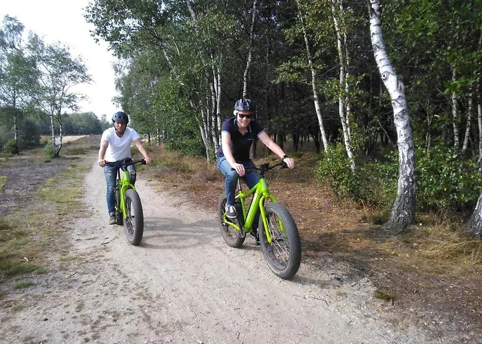 Op De Veluwe # Beuk פוטן