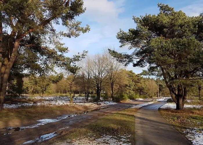 בקתה Op De Veluwe # Beuk