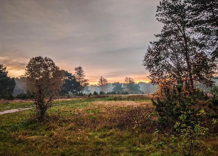 בקתה Op De Veluwe # Beuk