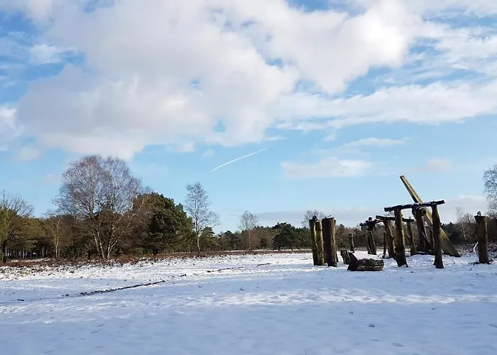 Alpstuga Op De Veluwe # Beuk
