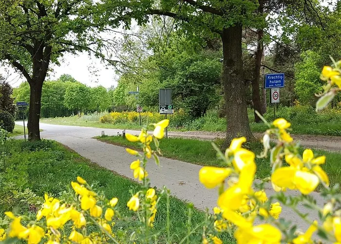 Op De Veluwe # Beuk Alpstuga