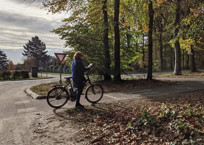 Op De Veluwe # Beuk Alpstuga