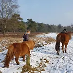 Chalet Op De Veluwe # Beuk
