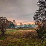 Chalet Op De Veluwe # Beuk