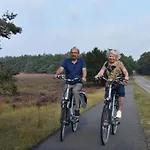 Op De Veluwe # Beuk *