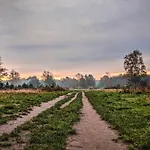 Op De Veluwe # Beuk * Putten