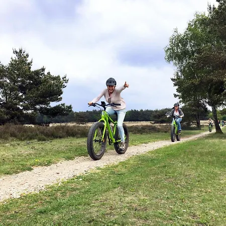 Op De Veluwe # Beuk *