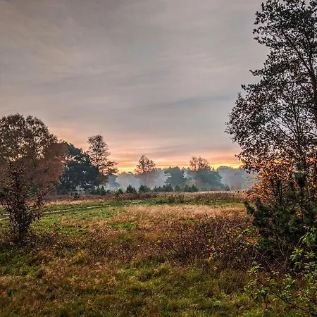 Alpehytte Op De Veluwe # Beuk