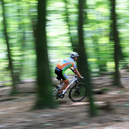 Alpstuga Op De Veluwe # Beuk