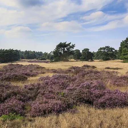 Alpstuga Op De Veluwe # Beuk Putten