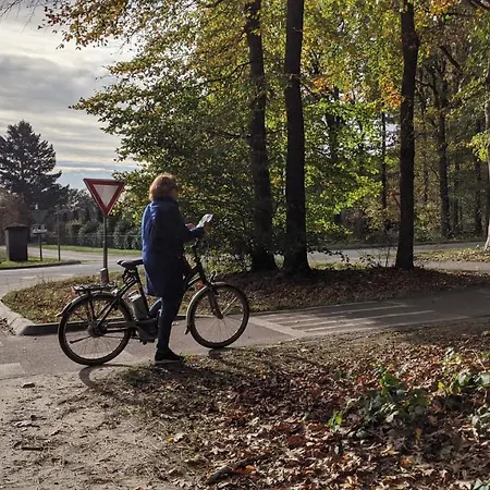 Op De Veluwe # Beuk Alpehytte