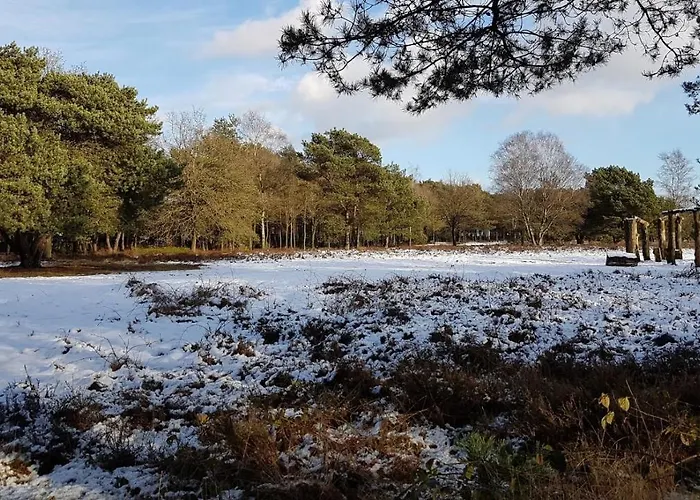 Op De Veluwe # Beuk Alpstuga Putten