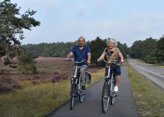 Op De Veluwe # Beuk *