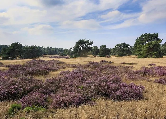 Alpstuga Op De Veluwe # Beuk Putten